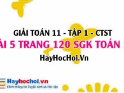 Giải bài 5 trang 120 Toán 11 tập 1 SGK Chân trời sáng tạo